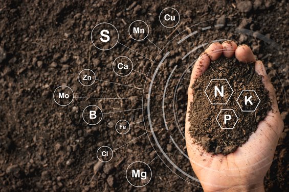 اصلاحات رایج خاک و منابع مواد آلی - بهسازی خاک - پایدار سازی گود - مطالعات مکانیک خاک - طراحی گود - شماره تماس: ۰۹۱۲۳۵۳۳۹۷۴